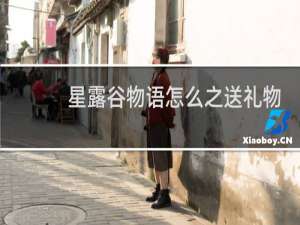 星露谷物语怎么之送礼物