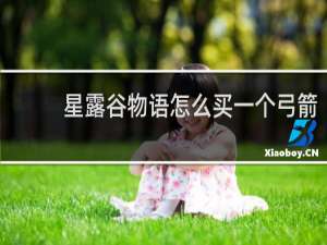星露谷物语怎么买一个弓箭