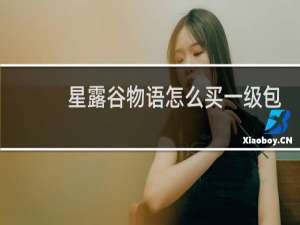 星露谷物语怎么买一级包