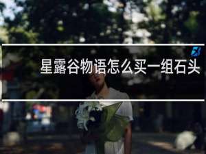 星露谷物语怎么买一组石头