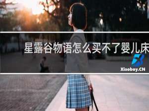 星露谷物语怎么买不了婴儿床