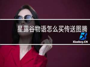 星露谷物语怎么买传送图腾