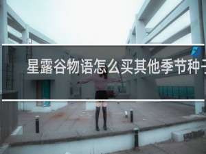 星露谷物语怎么买其他季节种子