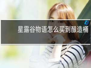 星露谷物语怎么买到酿造桶