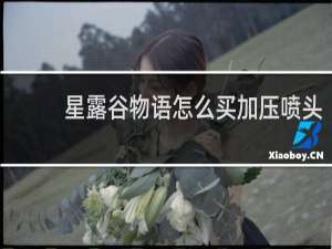 星露谷物语怎么买加压喷头