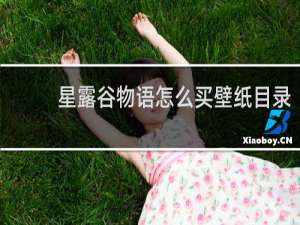 星露谷物语怎么买壁纸目录