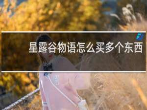 星露谷物语怎么买多个东西