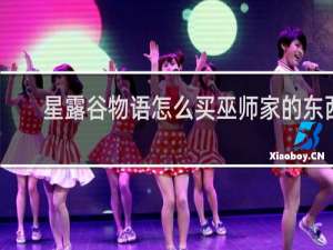 星露谷物语怎么买巫师家的东西