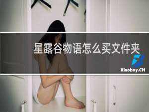 星露谷物语怎么买文件夹