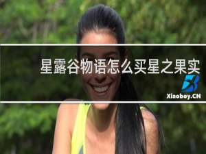 星露谷物语怎么买星之果实