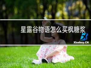 星露谷物语怎么买枫糖浆