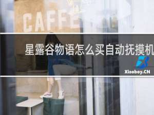 星露谷物语怎么买自动抚摸机