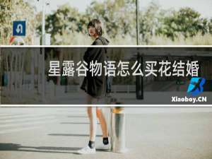 星露谷物语怎么买花结婚