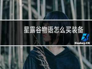 星露谷物语怎么买装备