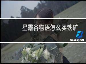 星露谷物语怎么买铁矿