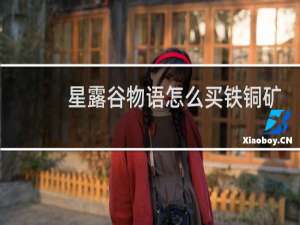 星露谷物语怎么买铁铜矿