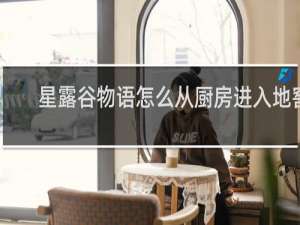 星露谷物语怎么从厨房进入地窖