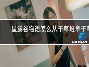 星露谷物语怎么从干草堆拿干草