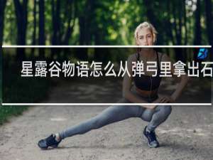 星露谷物语怎么从弹弓里拿出石头