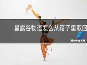 星露谷物语怎么从箱子里取回