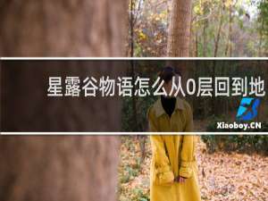 星露谷物语怎么从0层回到地