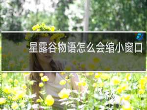 星露谷物语怎么会缩小窗口