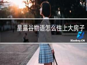 星露谷物语怎么住上大房子