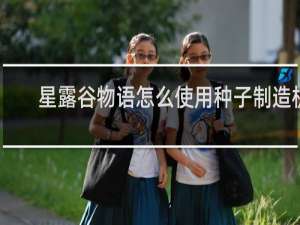 星露谷物语怎么使用种子制造机