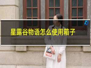 星露谷物语怎么使用箱子