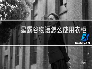 星露谷物语怎么使用衣柜