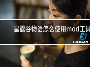 星露谷物语怎么使用mod工具