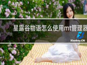 星露谷物语怎么使用mt管理器