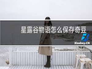 星露谷物语怎么保存奇豆