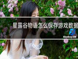 星露谷物语怎么保存游戏数据