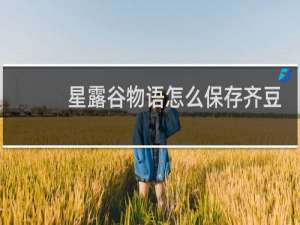 星露谷物语怎么保存齐豆