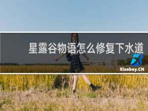 星露谷物语怎么修复下水道