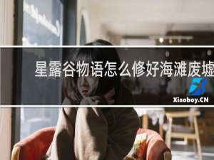 星露谷物语怎么修好海滩废墟
