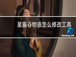 星露谷物语怎么修改工具