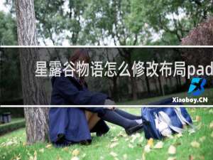 星露谷物语怎么修改布局pad
