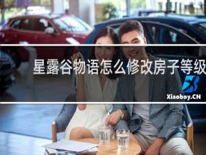 星露谷物语怎么修改房子等级