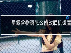 星露谷物语怎么修改联机设置