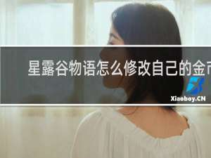 星露谷物语怎么修改自己的金币