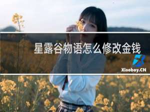 星露谷物语怎么修改金钱