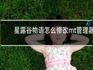 星露谷物语怎么修改mt管理器