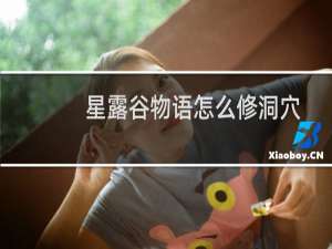 星露谷物语怎么修洞穴