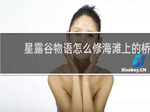 星露谷物语怎么修海滩上的桥