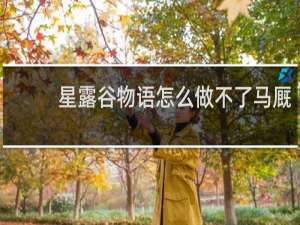 星露谷物语怎么做不了马厩