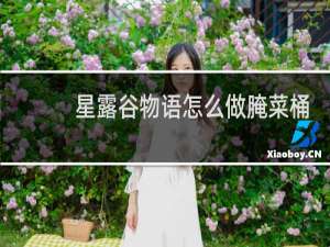 星露谷物语怎么做腌菜桶