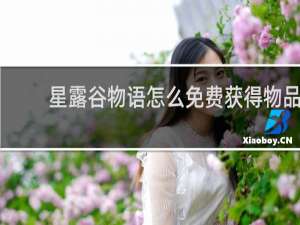 星露谷物语怎么免费获得物品
