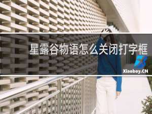 星露谷物语怎么关闭打字框